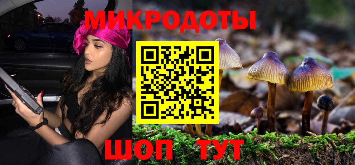 Галлюциногенные грибы Cubensis  Псилоцибиновые грибы прущие грибы  Кириши  Вход с VPN 